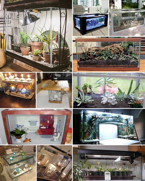 empty fish tank|Creative Ideas For Repurposing Empty Fish Tanks – Easy DIY!.